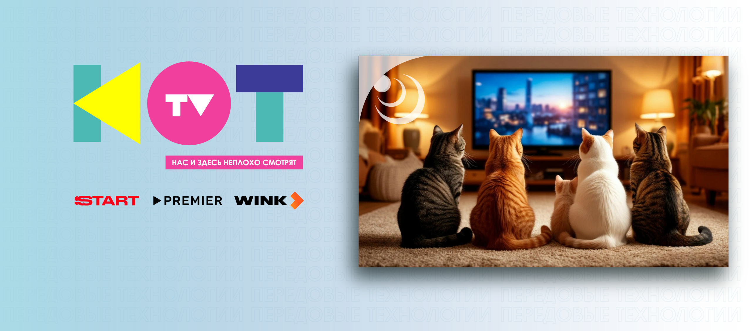 Баннер онлайн-кинотеатра KOTTV