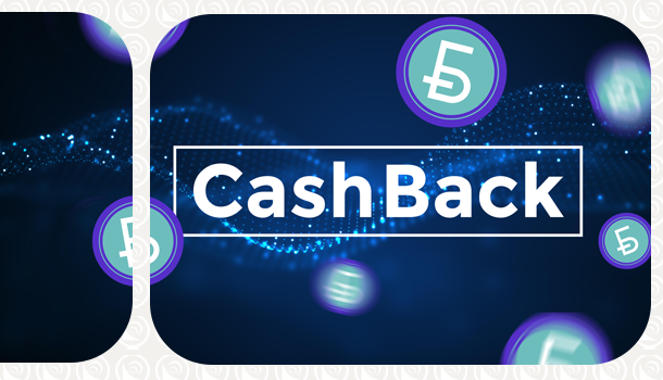 Bonus program